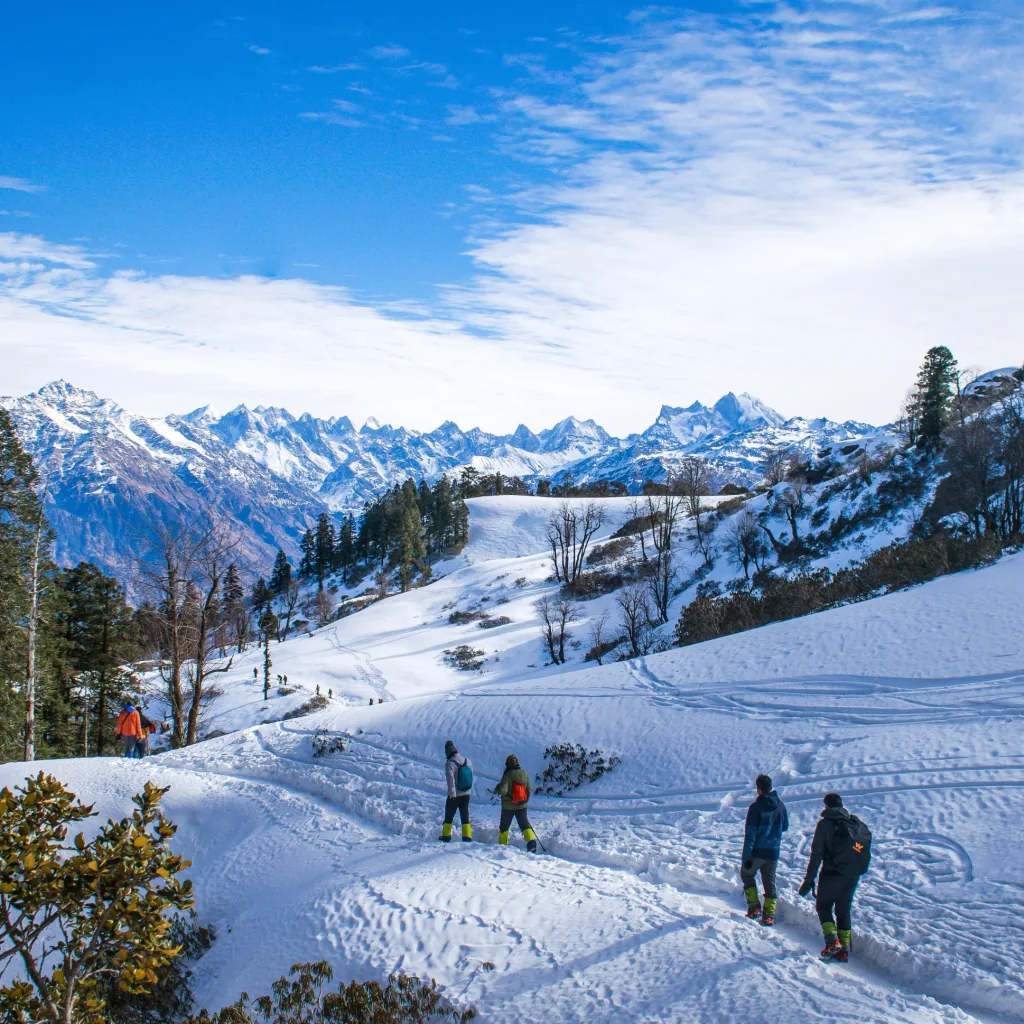 Manali Tour